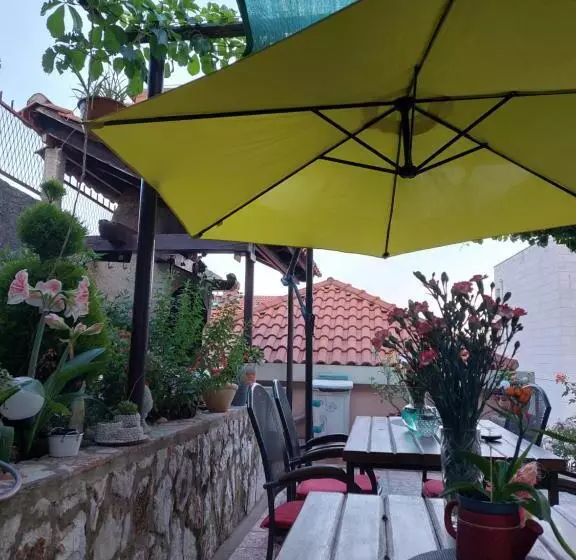 Fotos del hotel Ivka:  8