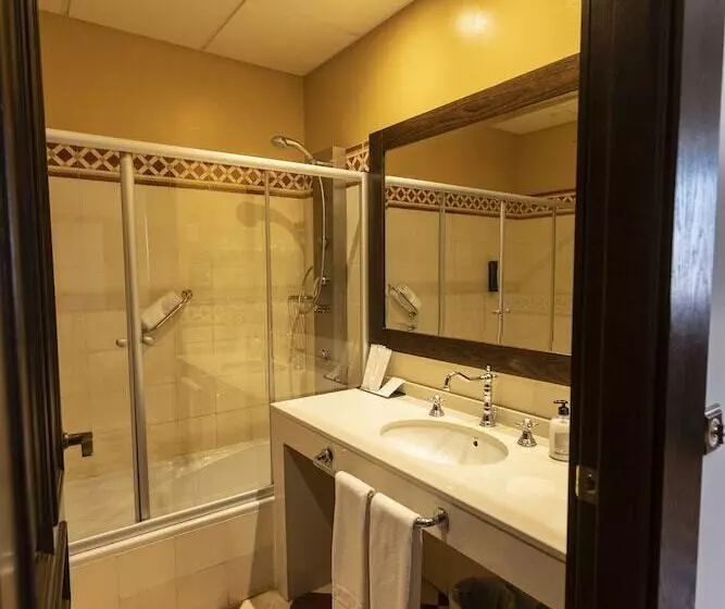 Fotos del hotel Palacio Arteaga:  14