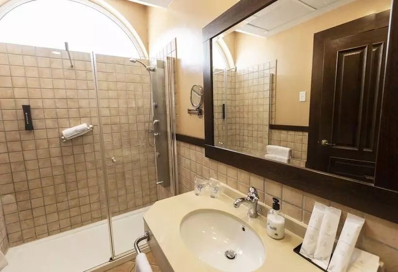 Fotos del hotel Palacio Arteaga:  6