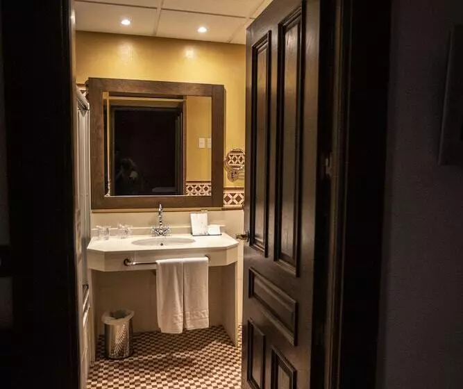 Fotos del hotel Palacio Arteaga:  18