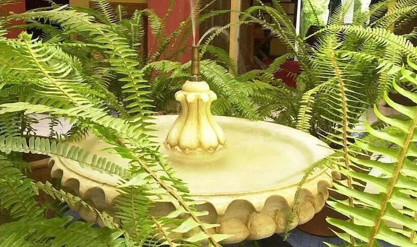 Fotos del hotel Dar Naima:  6