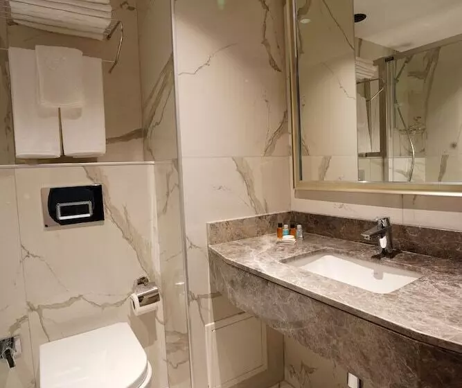 Fotos del hotel Istanbul Kervansaray:  5