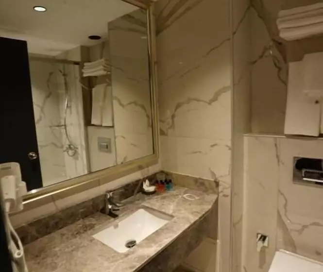 Fotos del hotel Istanbul Kervansaray:  10
