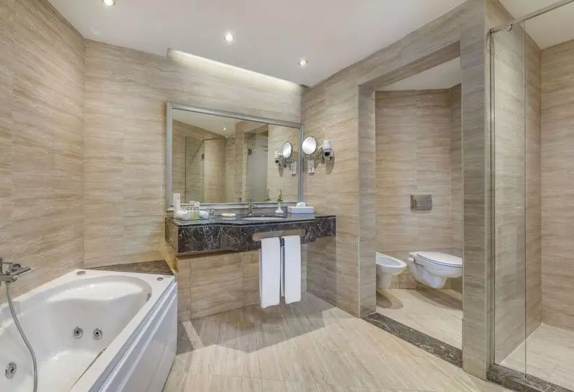 Fotos del hotel Iberotel Palace:  20