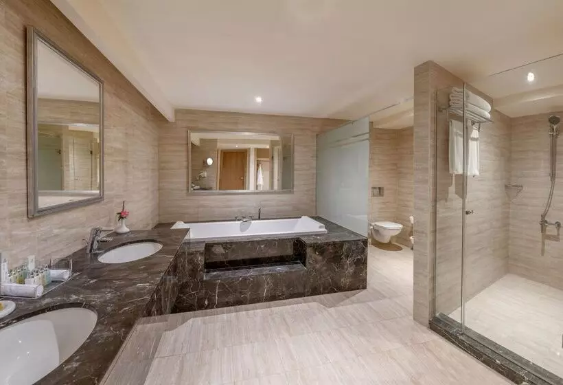 Fotos del hotel Iberotel Palace:  7