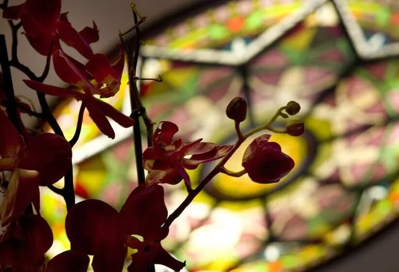 Fotos del hotel Alba:  7