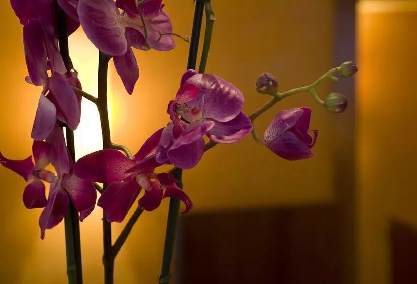 Fotos del hotel Alba:  10