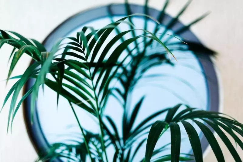 Fotos del hotel Athens Mirabello:  7