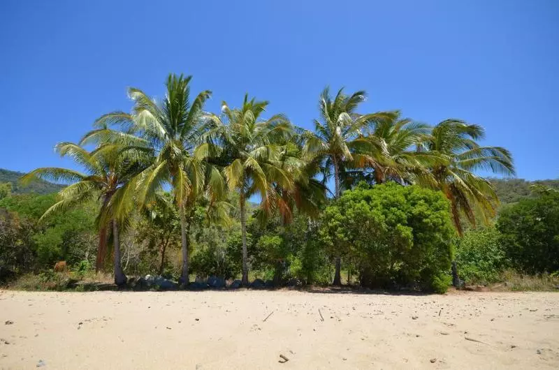 Fotos del hotel Le Cher Du Monde Adults Only:  10