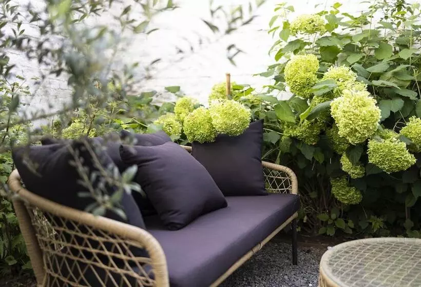 Fotos del hotel Beverly Hills Hotel:  6