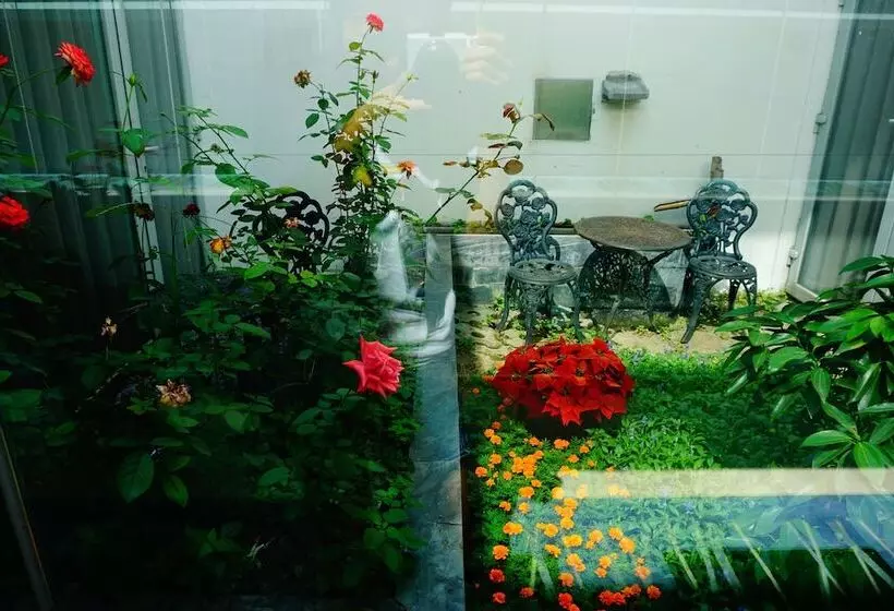 Fotos del hotel Kapok - Forbidden City:  18