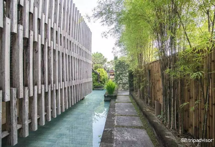 Fotos del hotel The Elysian Boutique Villa:  12