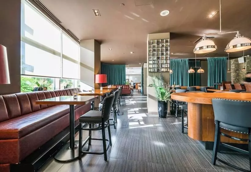 Fotos del hotel Novotel Montréal Aéroport:  5