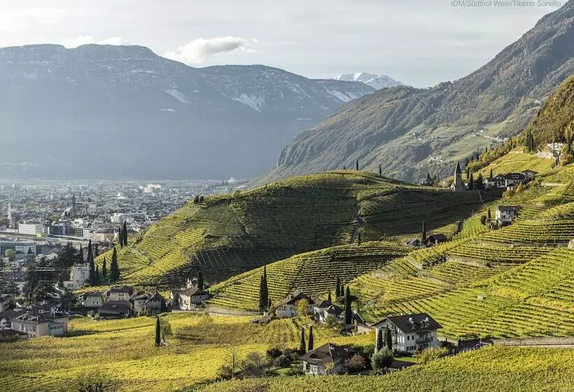 Fotos del hotel Greif:  17