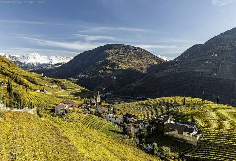 Fotos del hotel Greif:  12