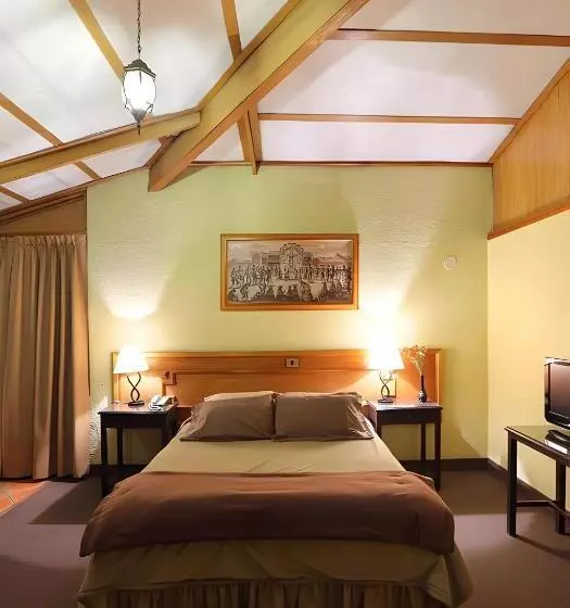 Fotos del hotel El Puma:  17