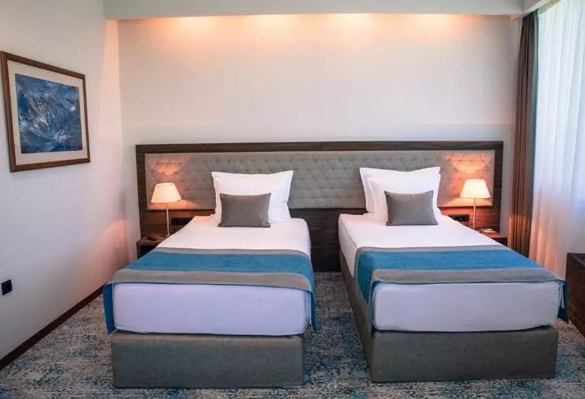 Fotos del hotel Radon Plaza:  16