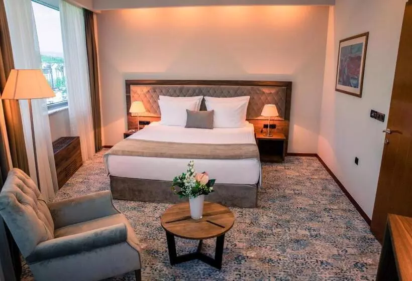 Fotos del hotel Radon Plaza:  4