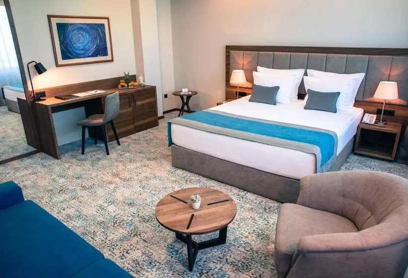 Fotos del hotel Radon Plaza:  2