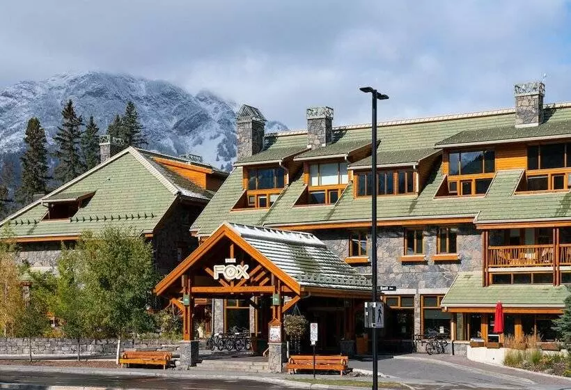 Fotos del hotel Fox Hotel And Suites:  11