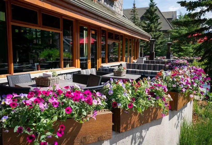 Fotos del hotel Fox Hotel And Suites:  1