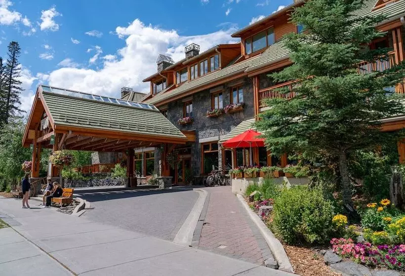 Fotos del hotel Fox Hotel And Suites:  7