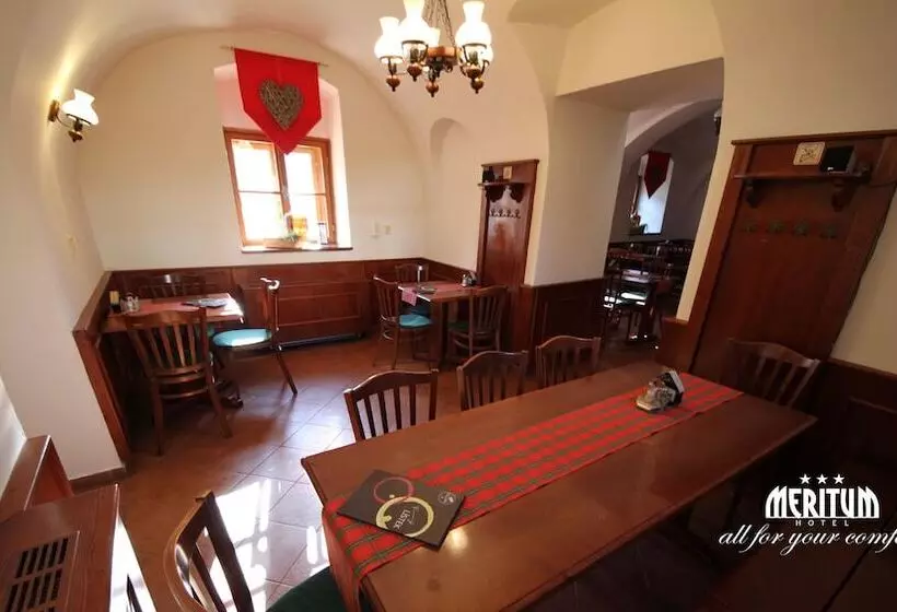 Fotos del hotel Meritum:  12