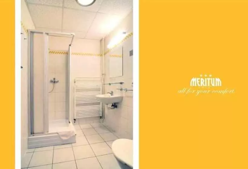 Fotos del hotel Meritum:  14