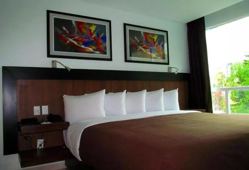 Fotos del hotel & Suites Pf:  24