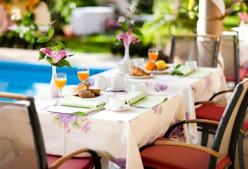 Fotos del hotel Aster:  11