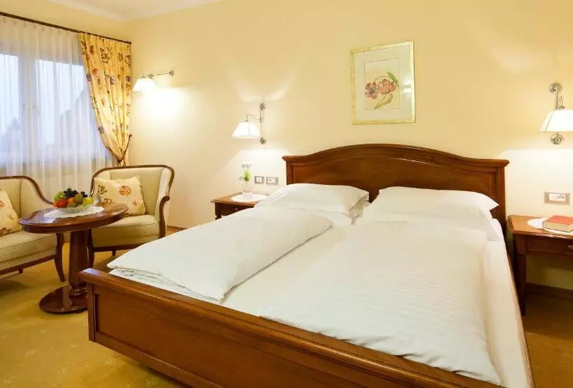 Fotos del hotel Aster:  17