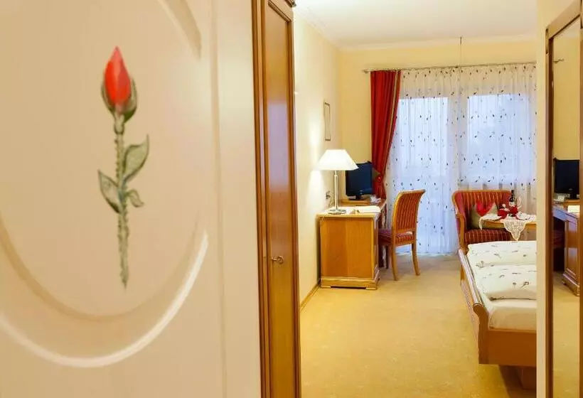 Fotos del hotel Aster:  21