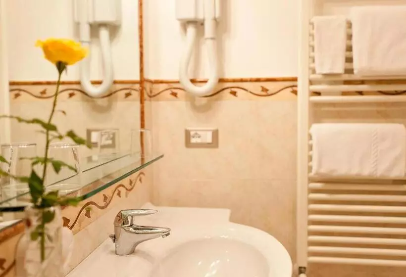 Fotos del hotel Aster:  6