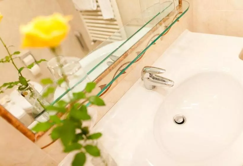 Fotos del hotel Aster:  12