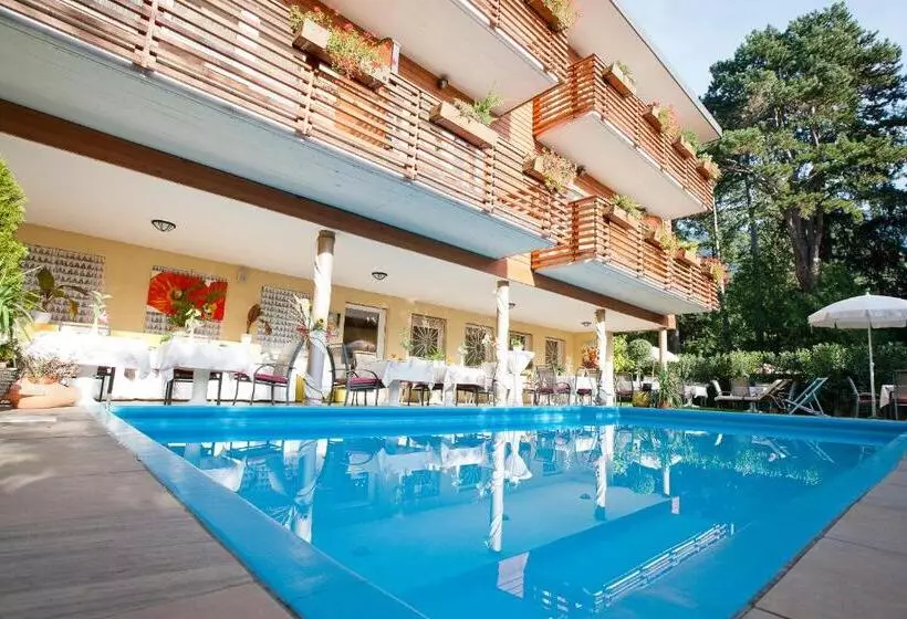 Fotos del hotel Aster:  2