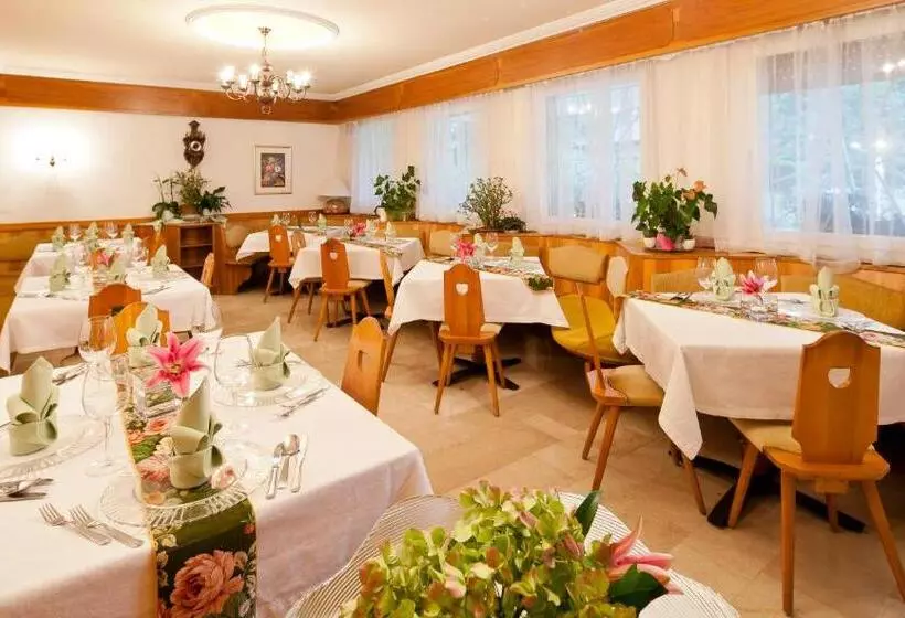 Fotos del hotel Aster:  4