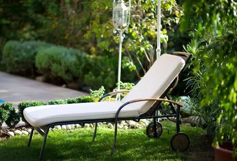 Fotos del hotel Aster:  19