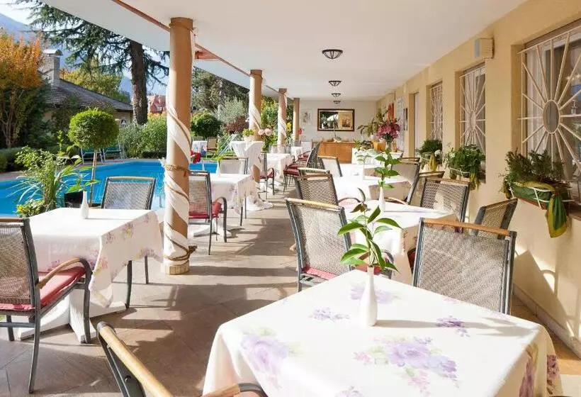 Fotos del hotel Aster:  5