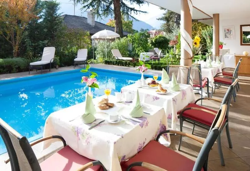 Fotos del hotel Aster:  16