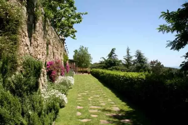 Fotos del hotel Castell de L'Oliver:  14