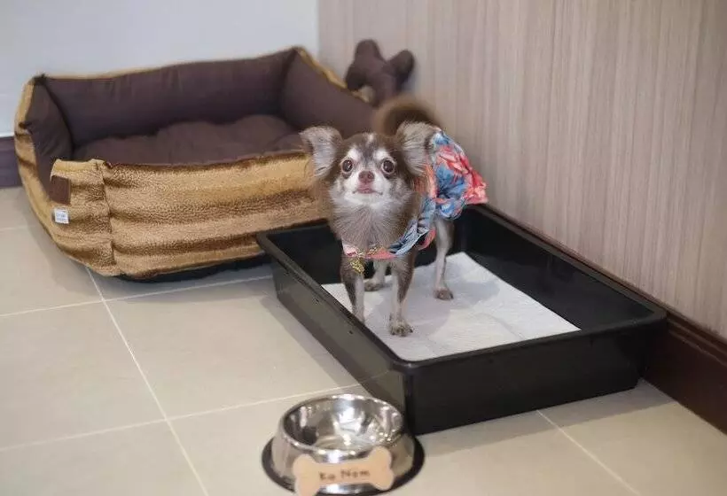 Fotos del hotel Grand Mercure Bangkok Asoke Residence:  11