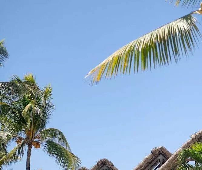 Fotos del hotel Veranda Palmar Beach  & Spa  All Inclusive:  20