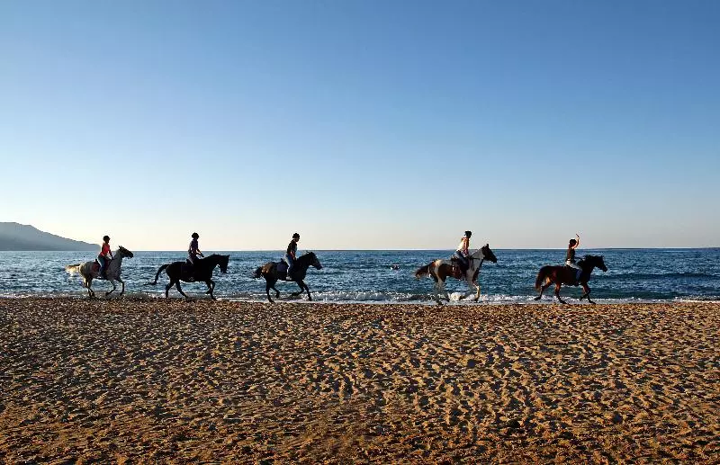 Fotos del hotel Orpheas Resort:  18