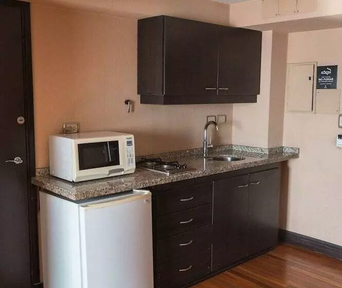 Fotos del hotel Premium Tower Suites Mendoza:  14