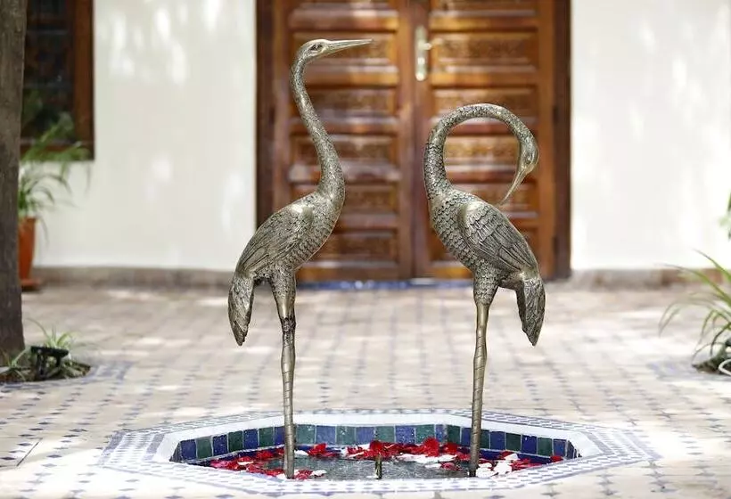 Fotos del hotel Riad Daria Suites & Spa:  6