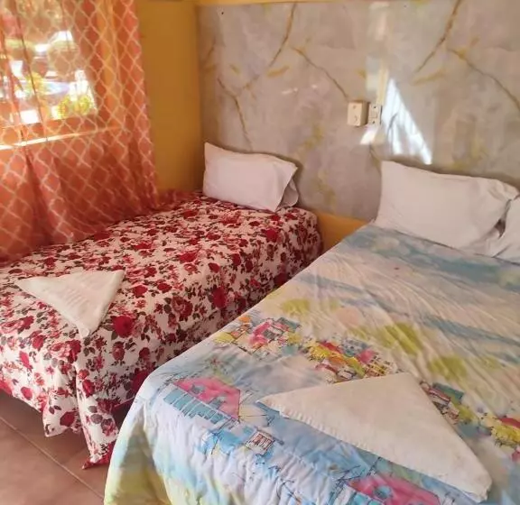 Fotos del hotel Mango:  12