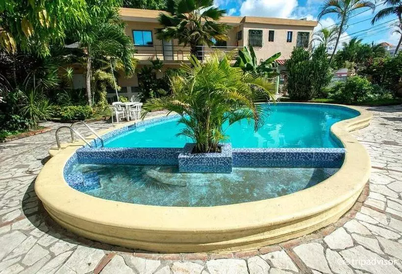 Fotos del hotel Mango:  7