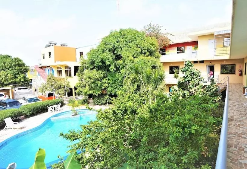 Fotos del hotel Mango:  5