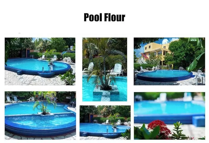 Fotos del hotel Mango:  3