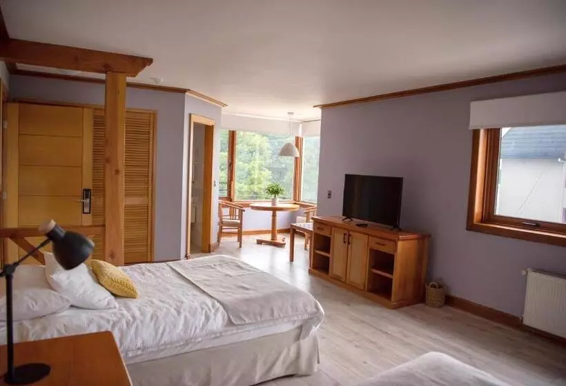 Fotos del hotel Puelche:  12